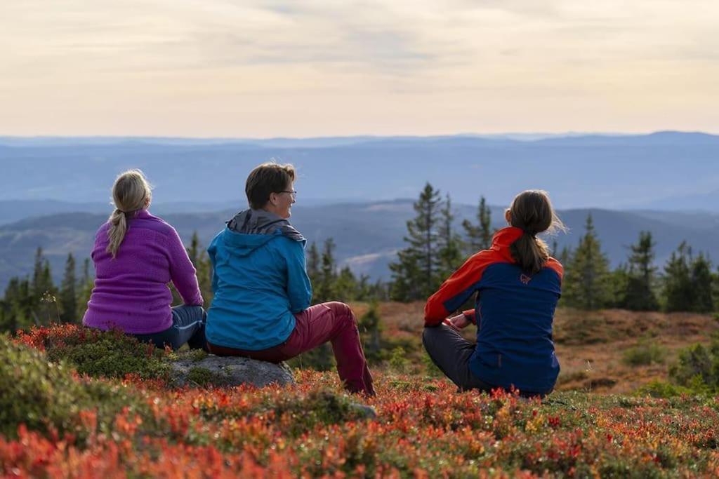 Appartement Beautiful Penthouse With Panoramic View At Sjusjoen Extérieur photo