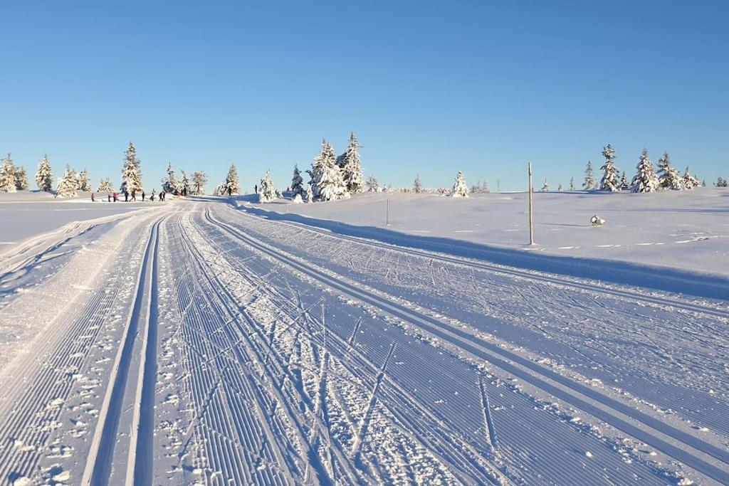 Appartement Beautiful Penthouse With Panoramic View At Sjusjoen Extérieur photo